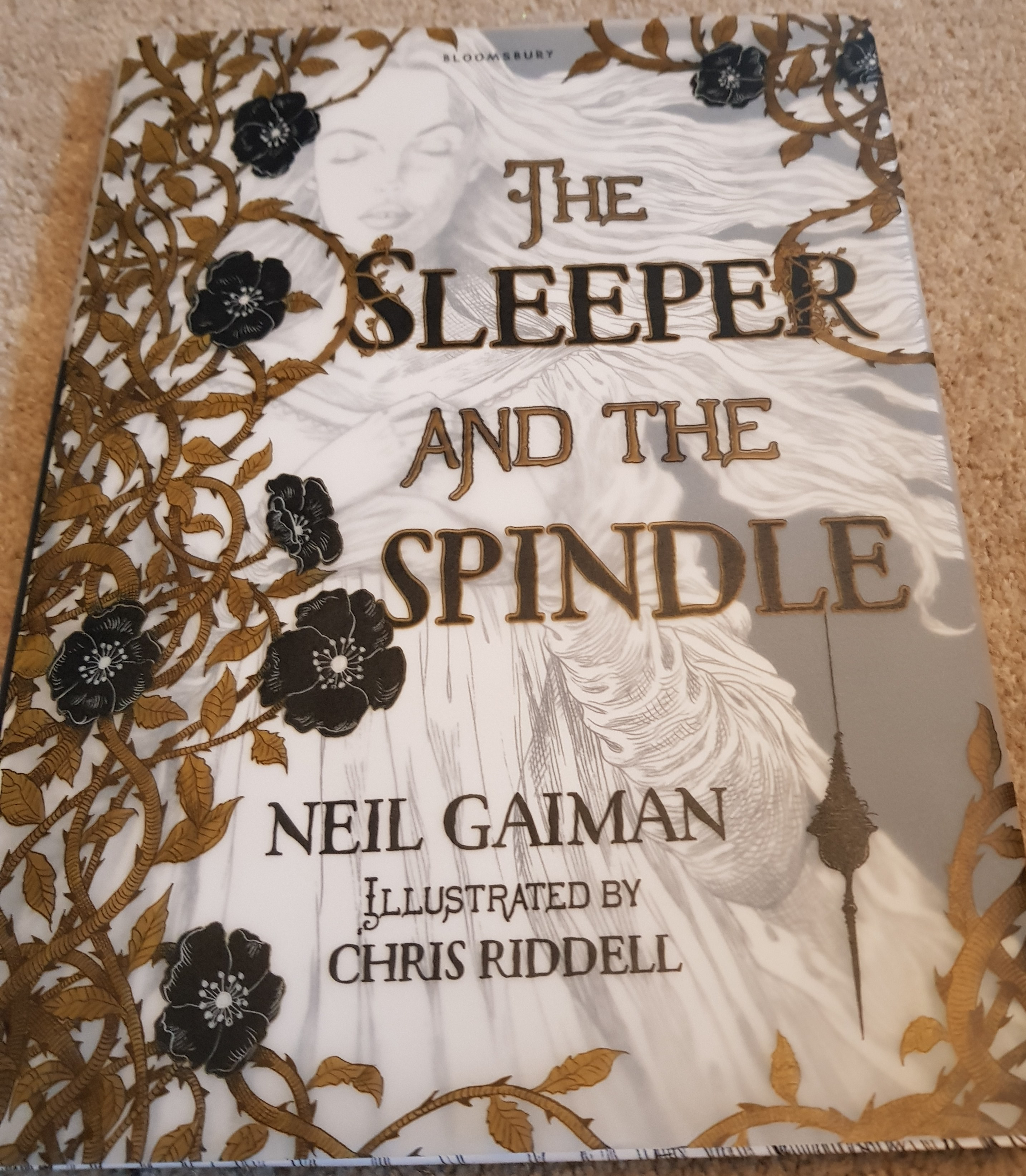 The Sleeper and the Spindle, Neil Gaiman and Chris Riddell
